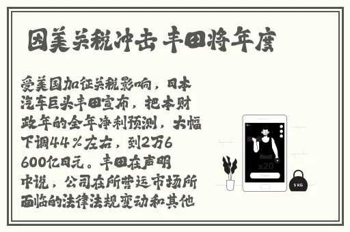 老阿姨哔哩哔哩B站肉片茄子芒果